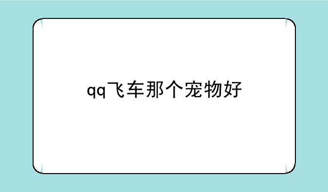 qq飞车那个宠物好