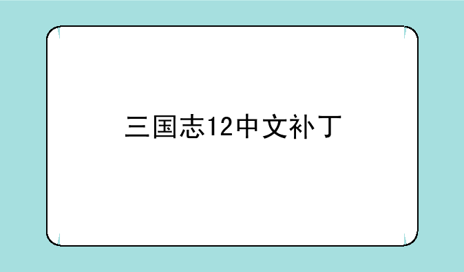 三国志12中文补丁
