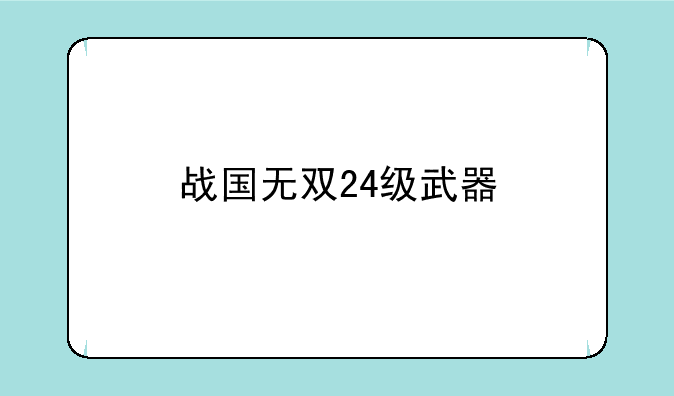 战国无双24级武器