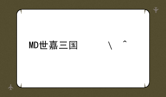 MD世嘉三国志3问题