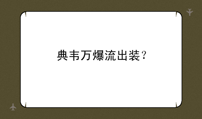 典韦万爆流出装？