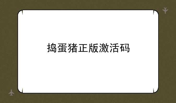捣蛋猪正版激活码