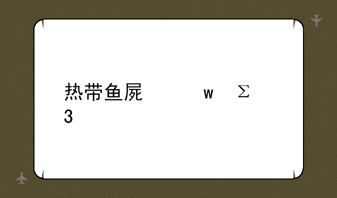 热带鱼屏保注册码