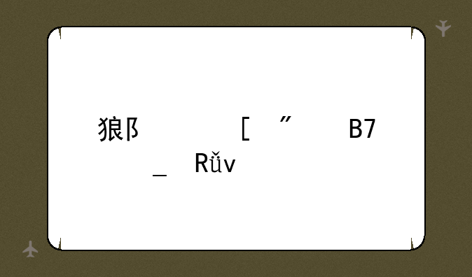 狼队妖刀名字由来