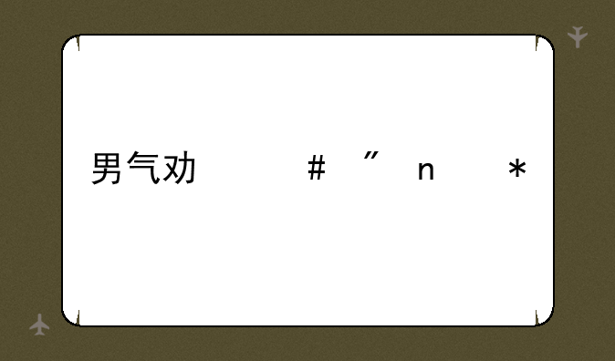 男气功师刷图加点