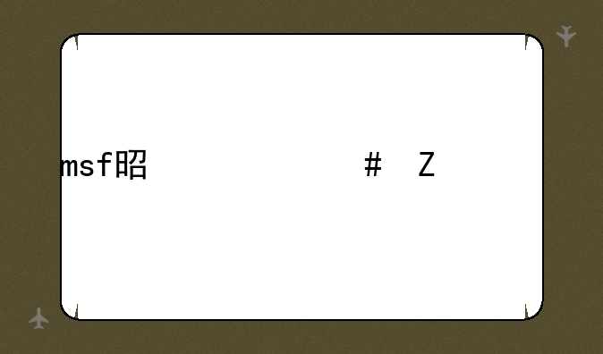 msf是什么文件夹