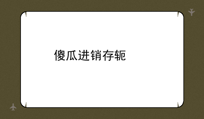 傻瓜进销存软件