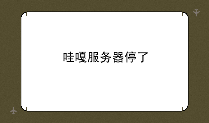 哇嘎服务器停了