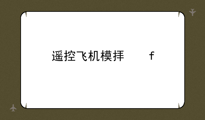 遥控飞机模拟器
