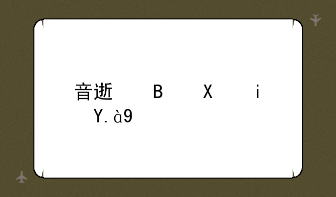 音速启动是什么