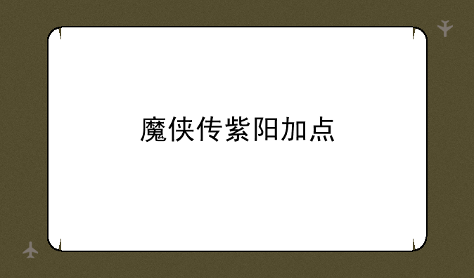 魔侠传紫阳加点