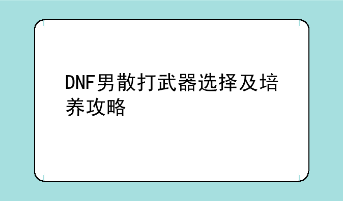 DNF男散打武器选择及培养攻略