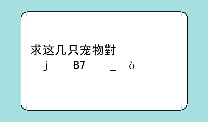 求这几只宠物小精灵的名字？