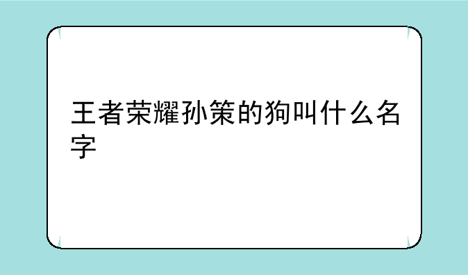 王者荣耀孙策的狗叫什么名字