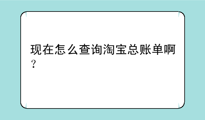 现在怎么查询淘宝总账单啊？