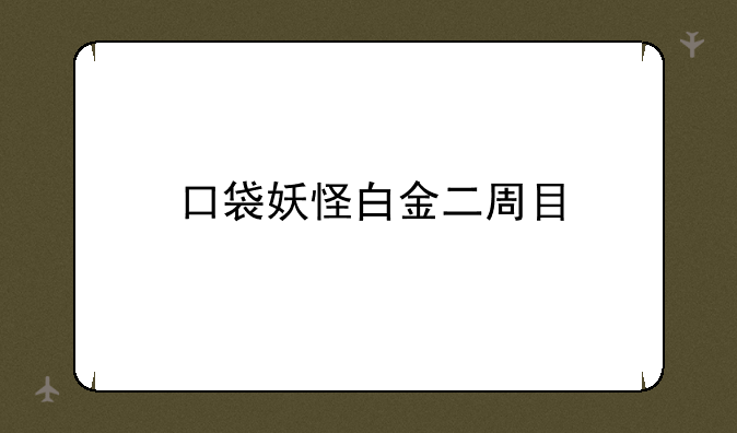 口袋妖怪白金二周目
