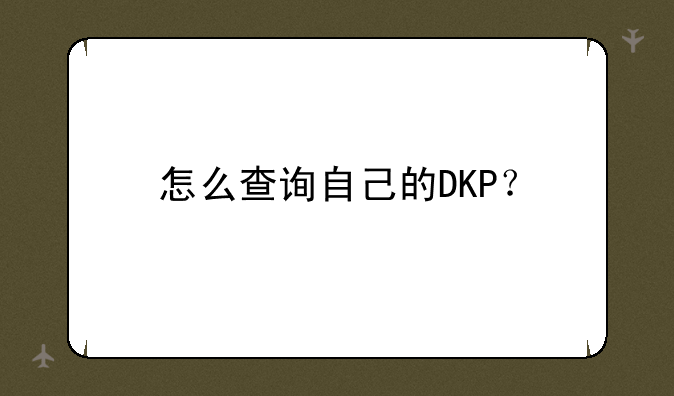 怎么查询自己的DKP？