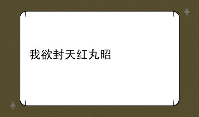 我欲封天红丸是什么