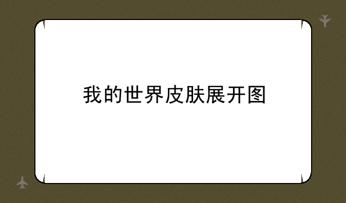 我的世界皮肤展开图