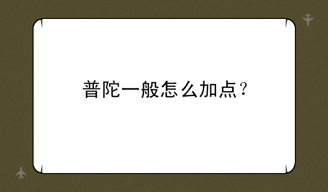 普陀一般怎么加点？
