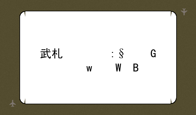武术家玩网游违法吗