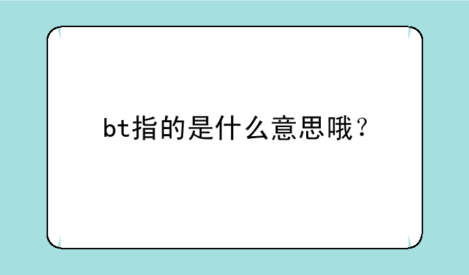 bt指的是什么意思哦？