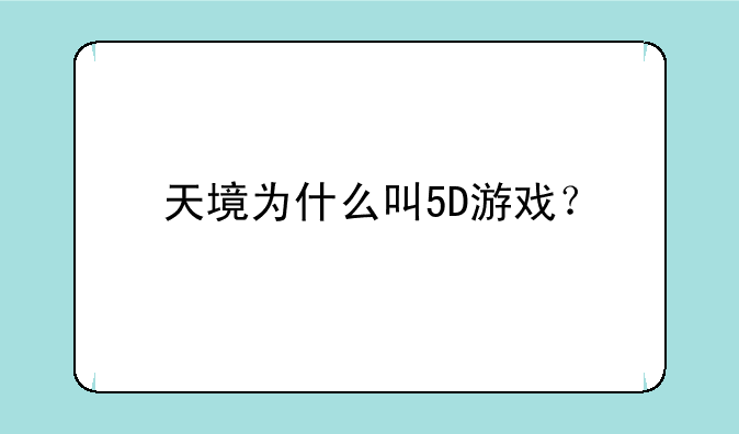 天境为什么叫5D游戏？