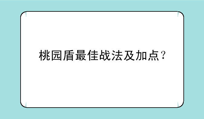桃园盾最佳战法及加点？