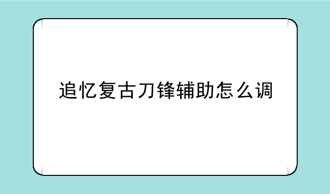 追忆复古刀锋辅助怎么调