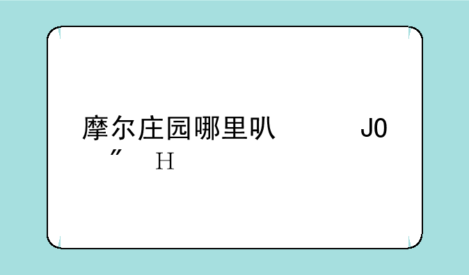 摩尔庄园哪里可以钓到泥鳅