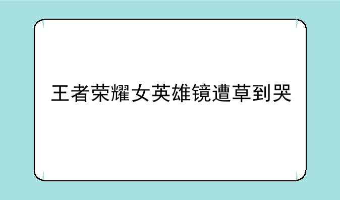 王者荣耀女英雄镜遭草到哭