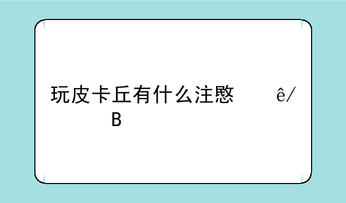 玩皮卡丘有什么注意事项吗