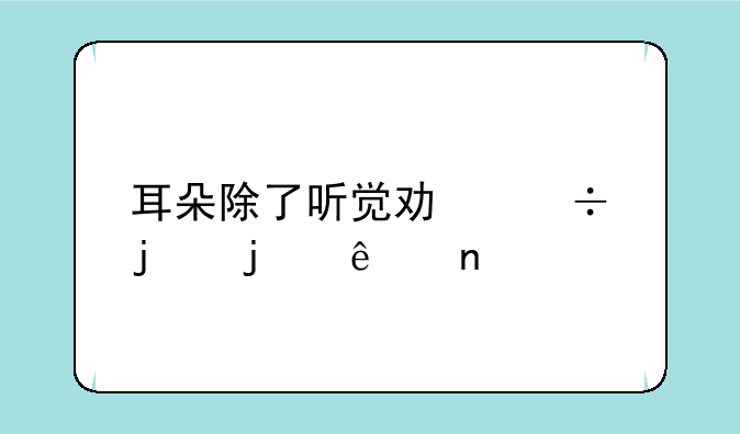 耳朵除了听觉功能蚂蚁庄园