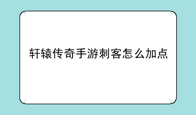 轩辕传奇手游刺客怎么加点