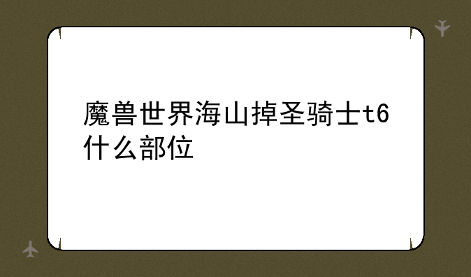 魔兽世界海山掉圣骑士t6什么部位