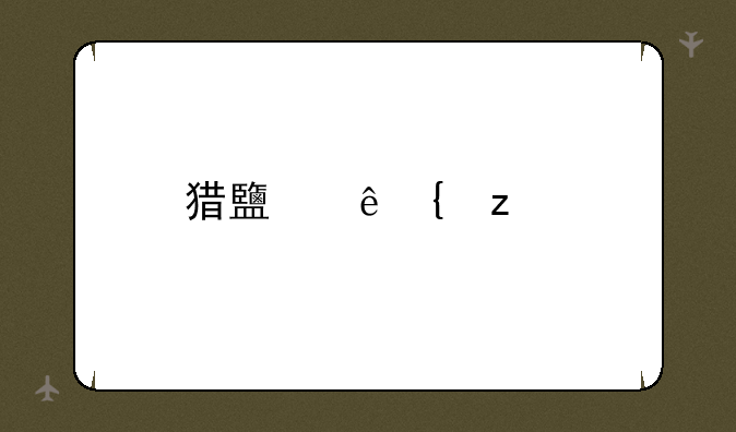 猎鹿人神枪手：精准射击，狩猎之王