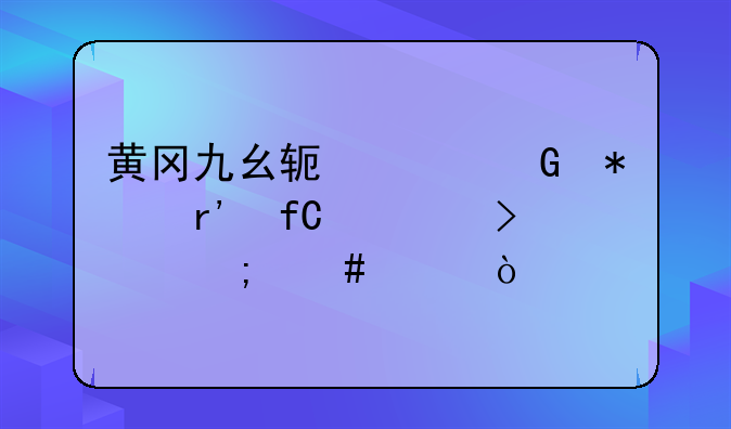 黄冈九幺软件科技有限公司怎么样？