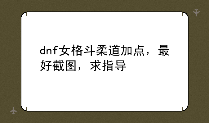 dnf女格斗柔道加点，最好截图，求指导