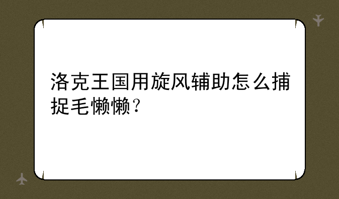 洛克王国用旋风辅助怎么捕捉毛懒懒？