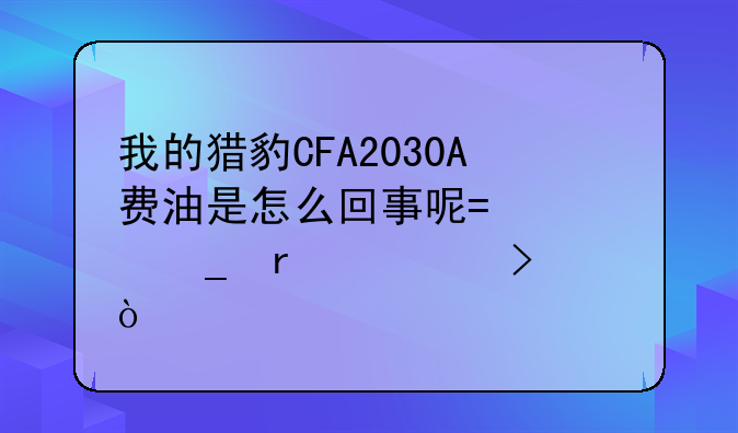 我的猎豹CFA2030A费油是怎么回事呢?油耗在20左右？