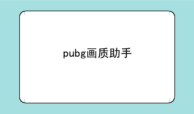 pubg画质助手