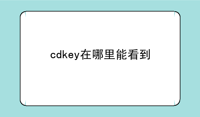 cdkey在哪里能看到