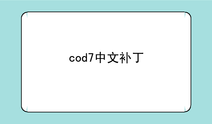 cod7中文补丁