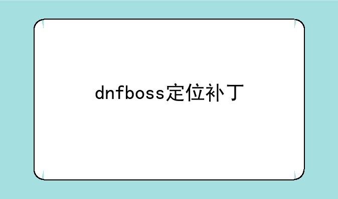 dnfboss定位补丁