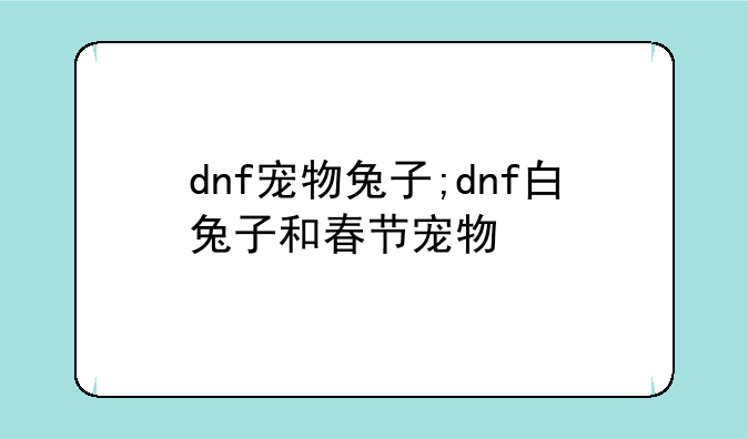 dnf宠物兔子;dnf白兔子和春节宠物