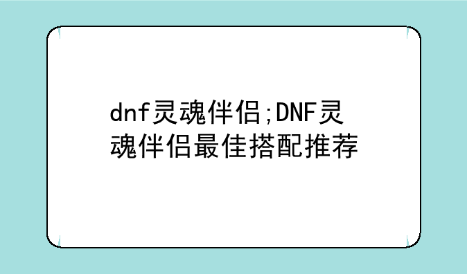 dnf灵魂伴侣;DNF灵魂伴侣最佳搭配推荐