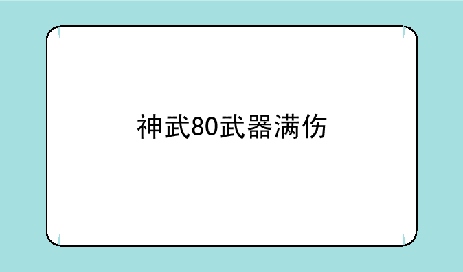 神武80武器满伤