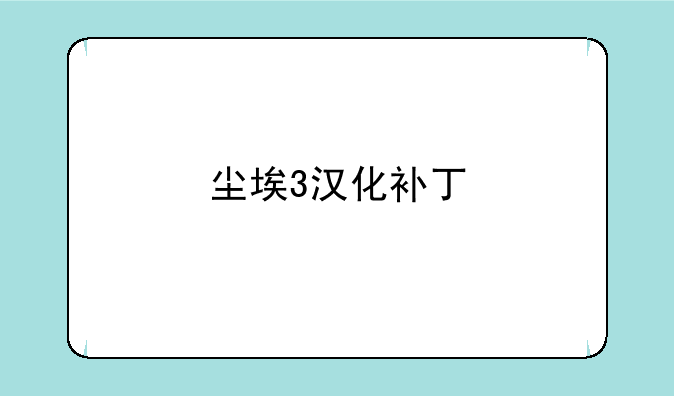 尘埃3汉化补丁