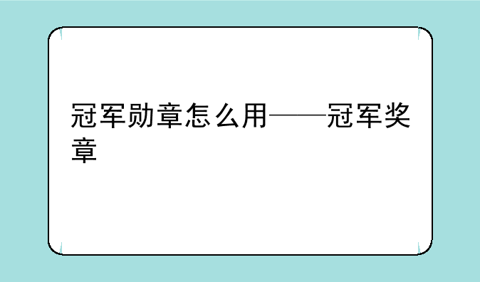冠军勋章怎么用——冠军奖章