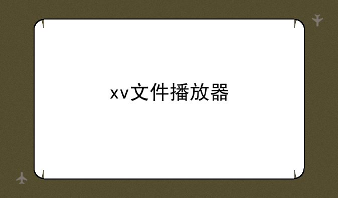xv文件播放器